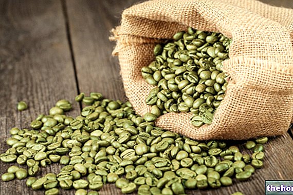 Fraude y cultivo de café verde crudo
