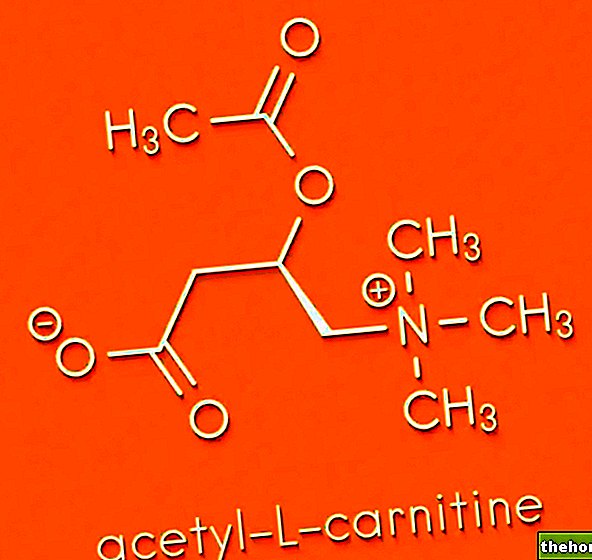 Atsetüül-L-karnitiin
