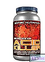 Asit Katil - Scitec Nutrition