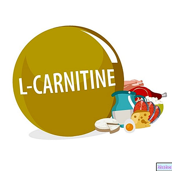 Carnitine, Daging dan Atherosclerosis