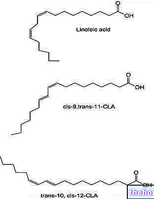 CLA : acide linoléique conjugué