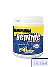 Peptide de Glutamine - PRONUTRITION