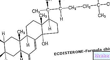 The β-ecdysterone