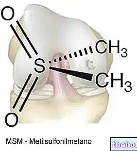 Metilsulfonilmetano - MSM