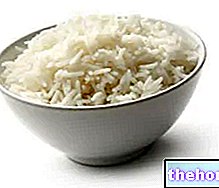 Protein beras