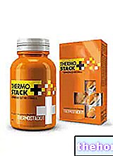 „Thermo Stack Plus“ - „ProAction“