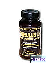 Tribulus LH 80/20 XS - Natroid