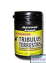Tribulus Terrestris Multipower