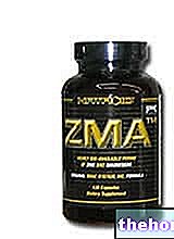 ZMA - नैट्रोइड