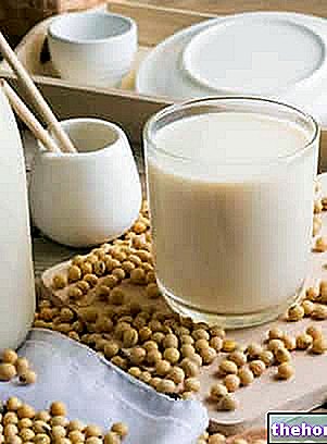 Sojin napitek - nadomestek mleka
