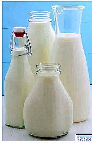 חלב - חומרים מזינים ועיכול של חלב