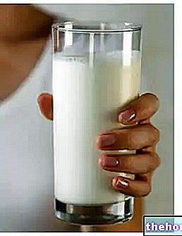 Råmælk og sødmælk - forskelle