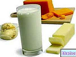 Producto lácteo