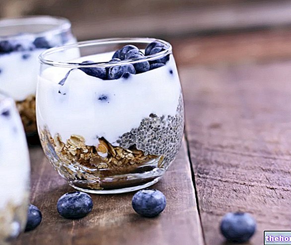 Yoghurt, melkesyre og prebiotiske gjæringer