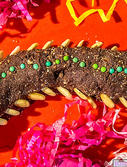 Carnival Dragon - Mascarpone šokolaadisalami