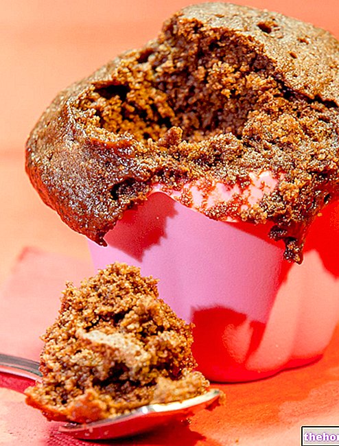 Muffin 3 Menit - Cupcake Microwave Cokelat Hazelnut