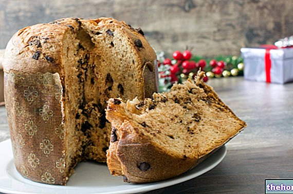 Panettone Covered with Chocolate