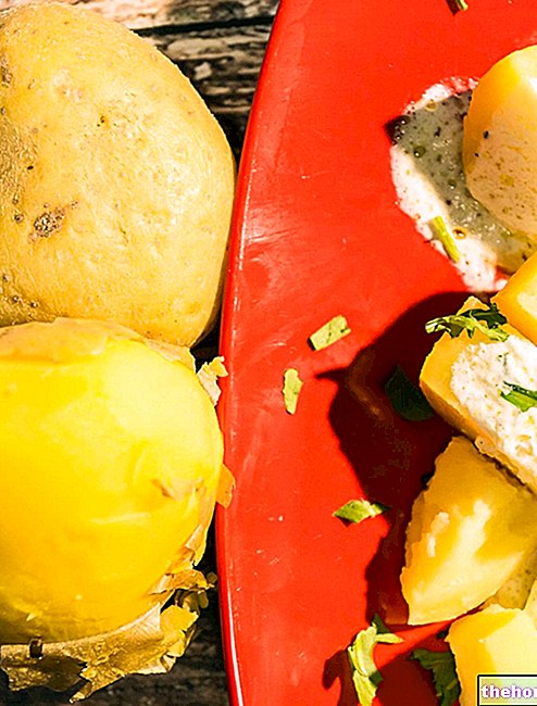 Kuhani krumpir - Svi trikovi za kuhanje krumpira