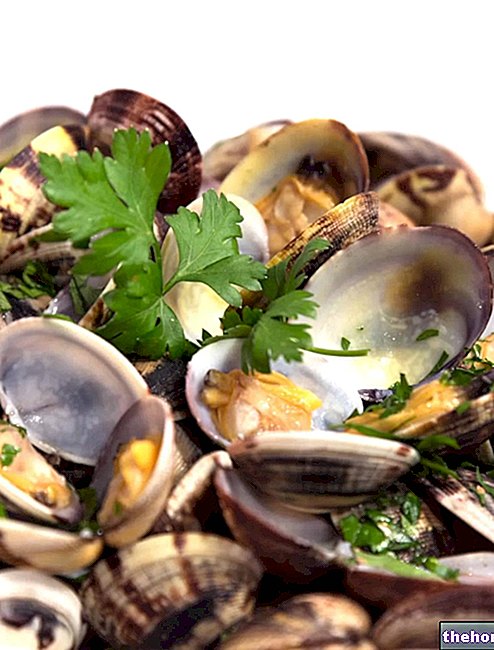 Очистите и приготовьте моллюсков - Clams alla Pescatora