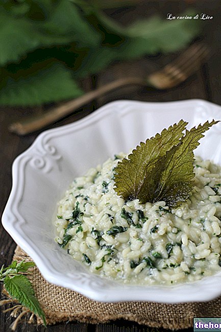 Risotto Alle nõgesed