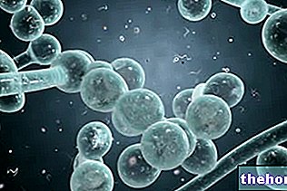 Patogene glive - biologija in glivične okužbe