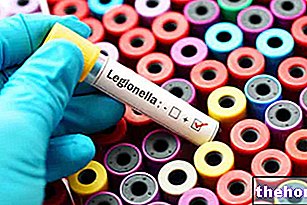 Legionella pneumophila: kuidas seda edastatakse? Sümptomid ja haigused