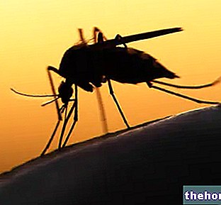Malaaria või paludism