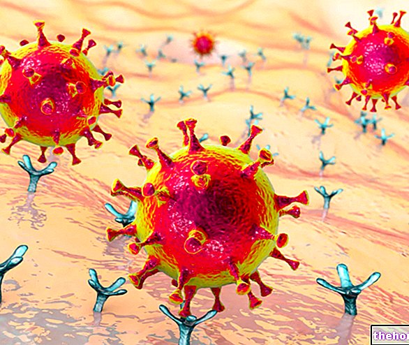 SARS-CoV-2 : Structure, protéines et pathogenèse du nouveau coronavirus