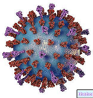 Virus Syncytial Pernafasan - RSV