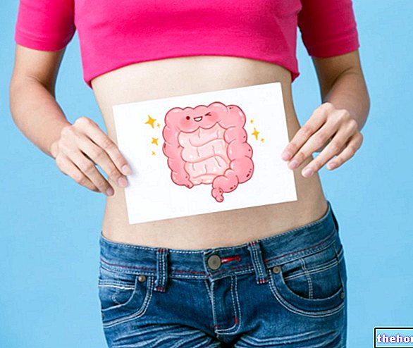 Desintoxicación intestinal: ¿que es?