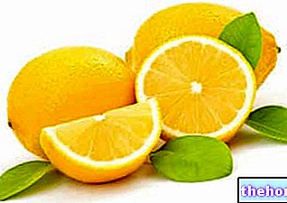Acide citrique : à quoi ça sert ?