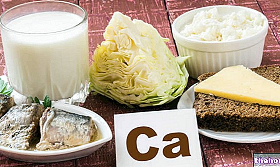 Makanan Kaya dengan Kalsium: Apa Itu?