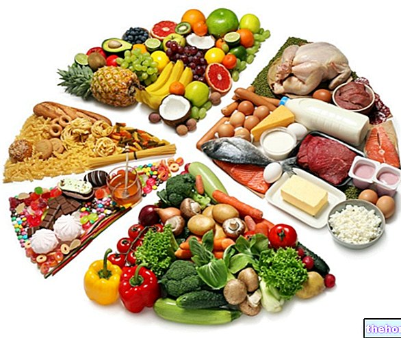 Nutrientes: cuáles son los más importantes y para qué se utilizan