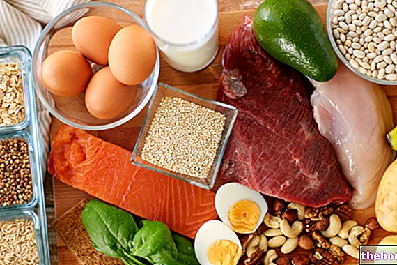 Proteiinia ja terveellistä ravintoa
