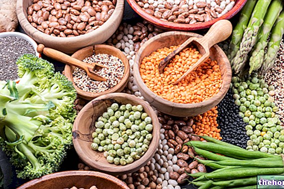 Protéines végétales : fonctions, bienfaits et principales sources