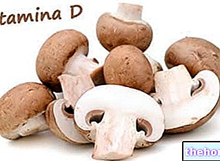 Vitamina D em cogumelos