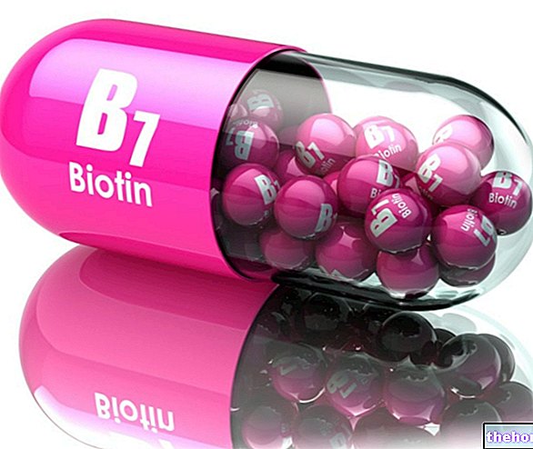 Vitamín H - biotín