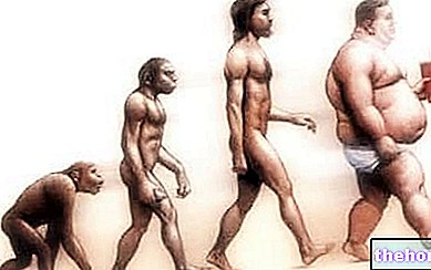 Lihavuus ja evoluutiobiologia: Lardopithecus
