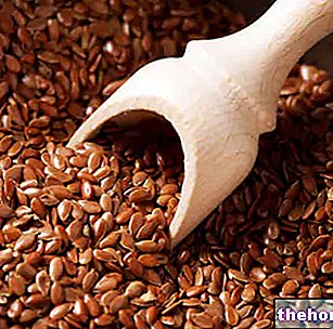 Семена и ленено масло: хранителни свойства