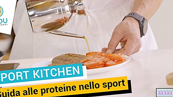 Guía de las mejores proteínas de la leche y suplementos deportivos