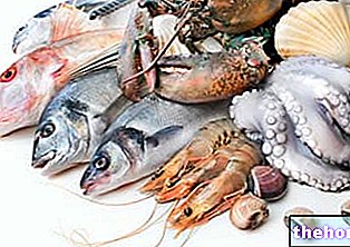 Ribe in ribiški izdelki