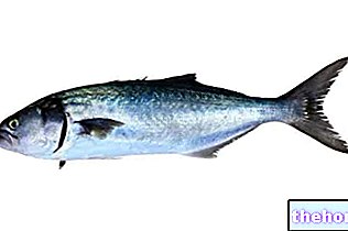 Стакленичка риба