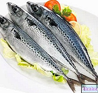 Makrela: Nutričné ​​a kuchárske vlastnosti