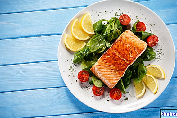 Thon ou saumon : lequel est le plus sain ?