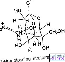 TTX - Tetradoctoxin