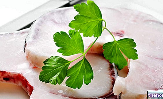 ヨシキリザメ：栄養特性と料理