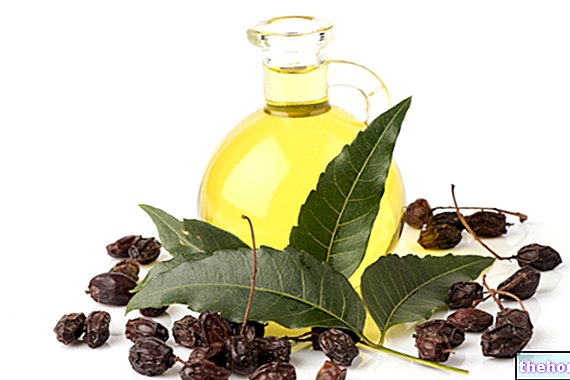 Aceite de neem: para que sirve y donde comprarlo