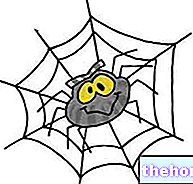 Araknofobia: hämähäkkien pelko