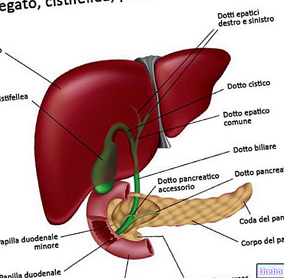 Câncer de fígado - sobrevivência e tratamento
