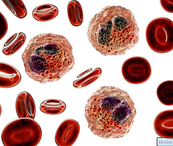 High Eosinophils (Eosinophilia): What Does It Mean? When to worry?